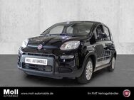 Fiat Panda, Mild Hybrid City Paket Cinema Schwarz, Jahr 2024 - Euskirchen