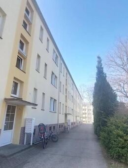 Mit uns Sparen Sie richtig! Schöne gemütlich 1 Raumwohnung - Bernsdorf (Regierungsbezirk Dresden)