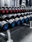 Hammerstrength Hammer Strength Kurzhanteln Kurzhantelsatz 4-40kg in 84061