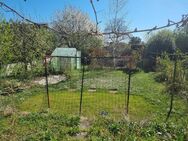 Doppelhaushälfte mit Gartenparadies für die Familie - Speyer