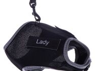 Trixie Katzengeschirr XCat mit Sticker und Leine - schwarz