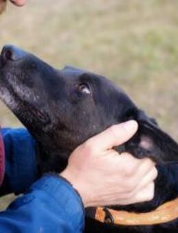 GONZA - gemeinsam glücklich sein - Overath