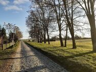 Am Dorfrand in Ruhe! Viel Land soweit das Auge reicht. - Ducherow