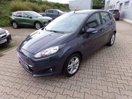 Ford Fiesta 1,25 Sync Edition 5-türig - Bad Oeynhausen