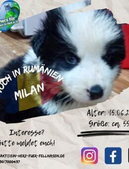MILAN-Abenteuer, Spaß, Liebe, Liebe... - Waakirchen