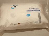 TiP Kopfkissen 80x80 cm 100% Baumwolle Füllgewicht: 1000g - Landau (Pfalz)