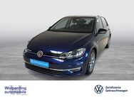 VW Golf, 1.5 TSI VII Highline, Jahr 2019 - Winsen (Luhe)