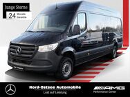 Mercedes Sprinter, 317 L3H2 Holzboden, Jahr 2023 - Heide