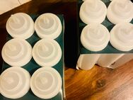 12 große Quetsch-Flaschen/Bottles (a 760 ml) für Sauce, Ketchup, Mayo, oder nur für Spülmittel etc. NEU nur 5€ alle - München Moosach