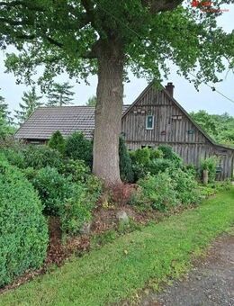 Idylle pur - Wohnen im Außenbereich in Visbek/Endel - Visbek