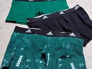 3 Stück Boxershorts für den sportlichen Mann - Braunschweig