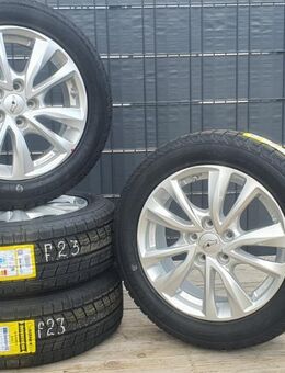 Winterkompletträder VW Golf7 Passat B8 Tiguan Touran Octavia A4 16 Zoll (MIL) - Euskirchen Zentrum