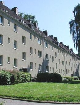 Modernisierte Wohnung - Kiel