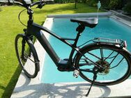 Simplon Chenoa Bosch CX Uni Carbon - Herne