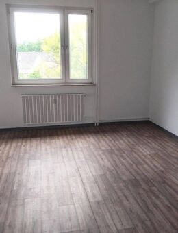 Sehr schöne renovierte 3 Zimmer Wohnung in Gelsenkirchen zu vermieten - Gelsenkirchen