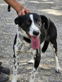 Kinderlieb sanft freundlich = PREYA ♥️ - München