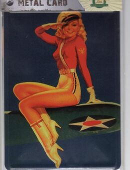 Nostalgie Metal card Pin Up Airforce Army Girl Blech-Postkarte Blechschild - Spraitbach