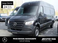 Mercedes Sprinter, 317 L3H2, Jahr 2023 - Heide