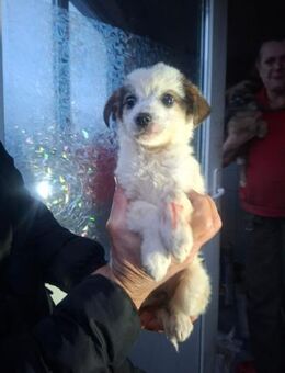 Flower möchte dich verzaubern - Celle