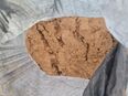 Sand für die Sandkiste in 25920