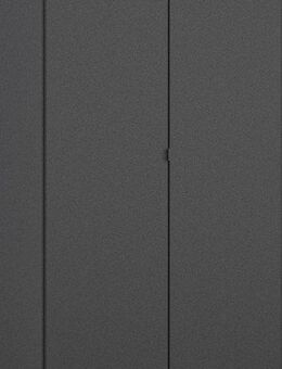 rauch Drehtürenschrank Ontario Metallgriffstück in Graumetallic