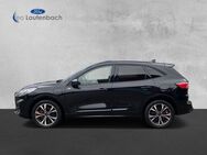 Ford Kuga Plug-In Hybrid ST-Line X - Duderstadt