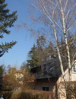Charmante Dachgeschosswohnung am See - mit 2 zusätzlichen Zimmern für mehr Flexibilität! - Berlin