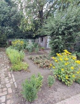 Neuer Preis. Saniertes Mehrfamilienhaus mit 6 Wohneinheiten zur Eigennutzung und Vermietung. - Eilsleben