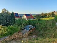 Schöner Bauplatz für ein Einfamilienhaus - Winterbach (Baden-Württemberg)