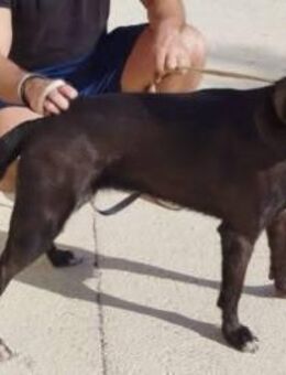 Arania hat viel Energie - Donaueschingen