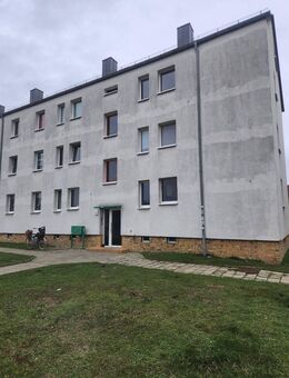 helle 3 Zimmerwohnung mit EBK, erster Monat mietfrei bei Einzug bis 16.04.2025 - Wittenberg (Lutherstadt)