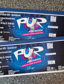 PUR and Friends auf Schalke 2 Tickets Sitzplätze - Dillenburg