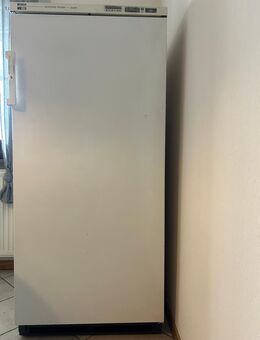 Bosch ***-Gefrierschrank economic-froster super (GSS2602/01) - Arnsberg