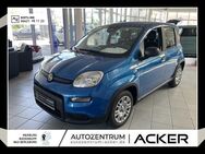 Fiat Panda, 1.0 NEU GSE Hybrid, Jahr 2024 - Bad Berleburg