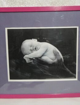 Anne Geddes Poster im Rahmen schlafendes Baby auf Hand - Rödermark Zentrum