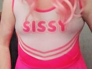 Sissy sucht. - Frankfurt (Main) Höchst