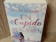 EIN Cupido zum VERLIEBEN. - Nörvenich