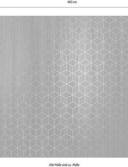 Komar Vliestapete Mystique, 400x280 cm (Breite x Höhe)