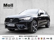 Volvo XC60 Ultimate Dark AWD B4 Diesel EU6d Allrad HUD AD StandHZG digitales Cockpit Memory Sitze - Aachen