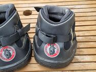 Hufschuhe Equine Fusion - Kell (See)