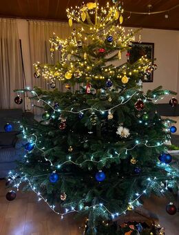 Nordmanntannen 1,5-4m Weihnachtsbaum Tannenbaum Christbaum - Oberkirch