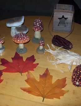 Herbstdekoration - Erwitte