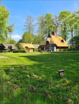 Landsitz in Alleinlage im Kreis Segeberg - Seedorf (Landkreis Segeberg)