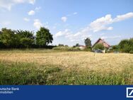 Wohnen mit Weitblick - Ihr Bauplatz in Büchenberg - Eichenzell