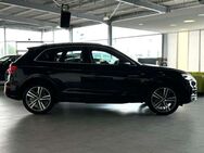 Audi Q5 40 TDI quattro S-Line, ACC, LED, SHZ - Herford (Hansestadt)