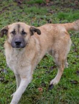 256413 - fröhliche Tage erleben - Overath