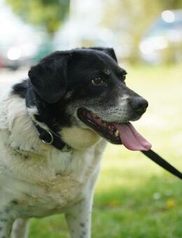 Cosmo sucht sein Universum - Obertshausen