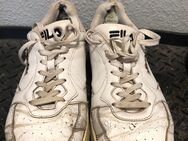 Ich M(25) verkaufe meine stark abgetragenen und riechenden Sneaker - Kiel