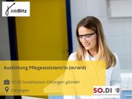 Ausbildung Pflegeassistent/in (m/w/d) - Ditzingen