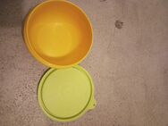 Tupperware Dose Gelb. - Herford (Hansestadt)